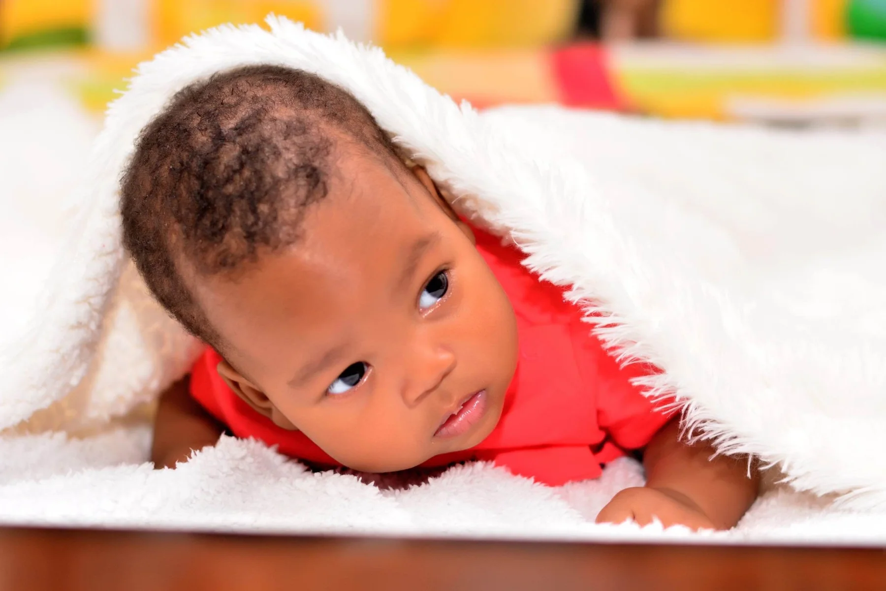 Newborn studio photography